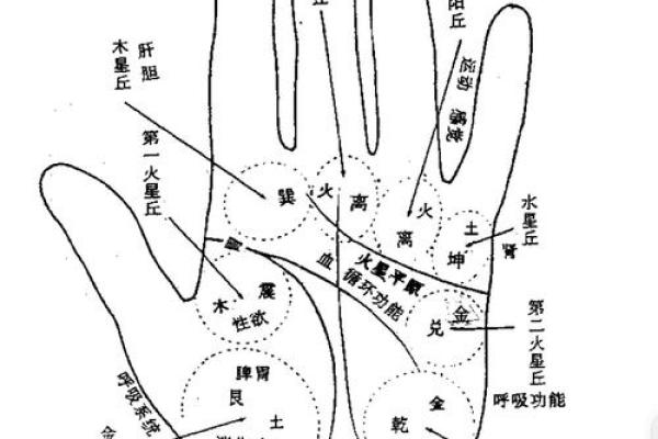 免费手相测试，让你更清晰地了解自己