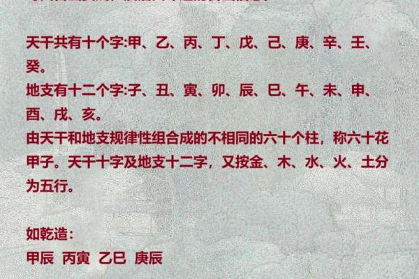 通过地支十神揭示命理中的关键因素