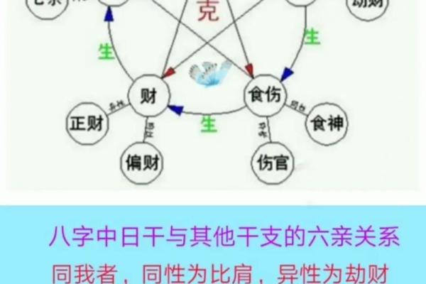 通过地支十神揭示命理中的关键因素