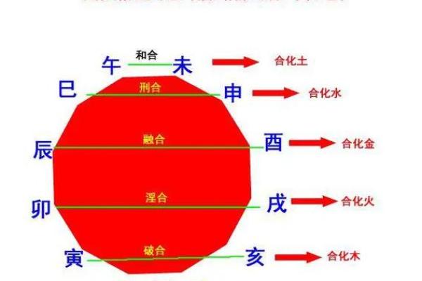 寅木在地支中的象征意义与五行分析