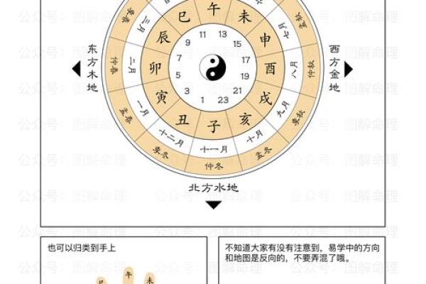 天干地支图解：一图看懂天命与时间的神秘密码