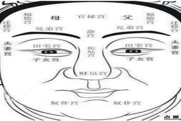 霍启刚面相分析：从五官看其性格与运势走向