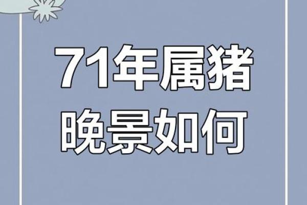 属猪人今日运势预测：机遇与挑战并存