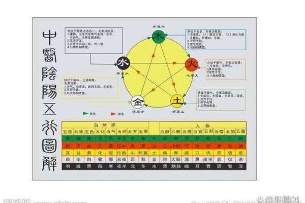 生辰八字免费测算揭示命运密码，让你了解未来走向