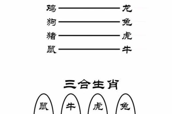 属鸡人办公风水调整助力职业生涯发展