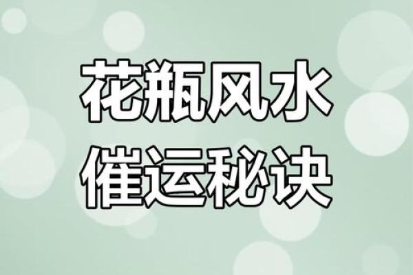 沈阳家居风水布局技巧，提升居住环境的和谐与运势