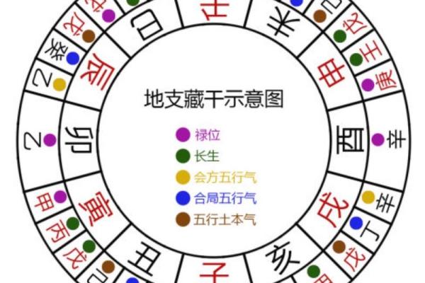 天干地支八字解析：如何从八字看人生运势