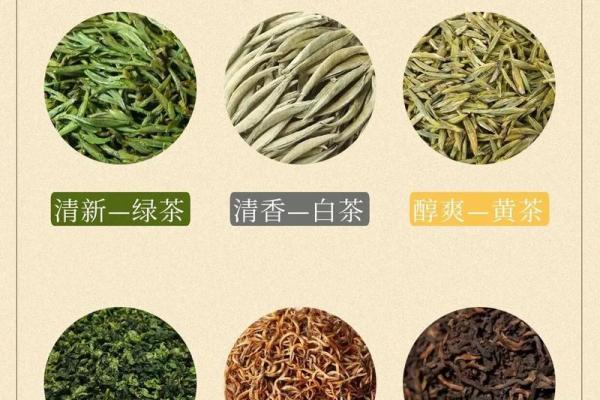 品茶知识全攻略：从茶叶选择到品味技巧