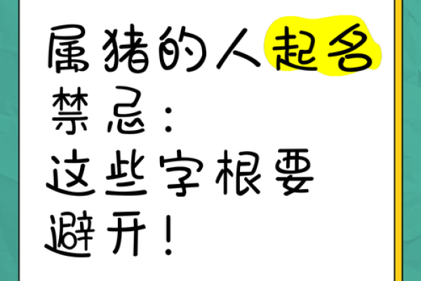 猪宝宝起名技巧：如何挑选既吉利又有意义的名字