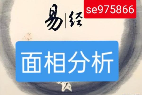 面相与命运的奥秘：一张脸藏着多少人生密码