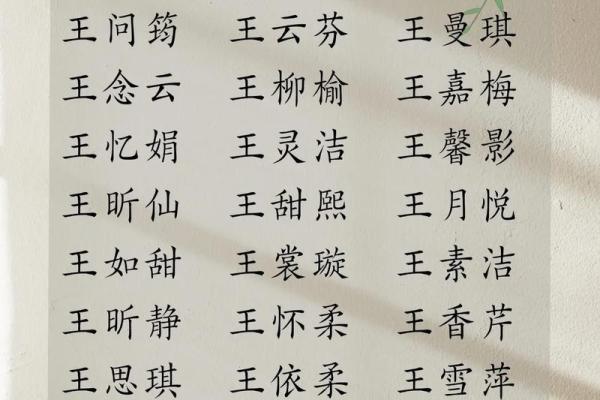 王名字打分：王姓宝宝名字如何更具吉祥寓意