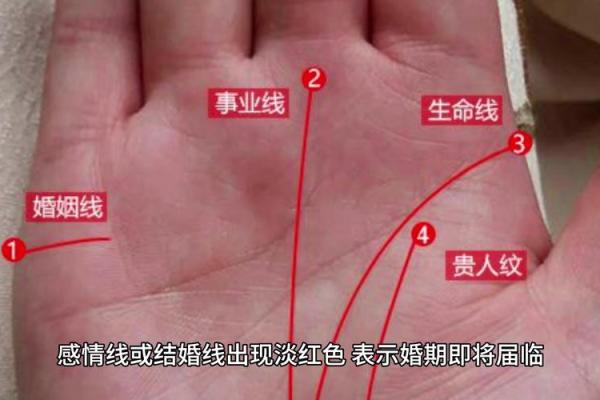 通过免费手相分析，发现你人生的关键轨迹