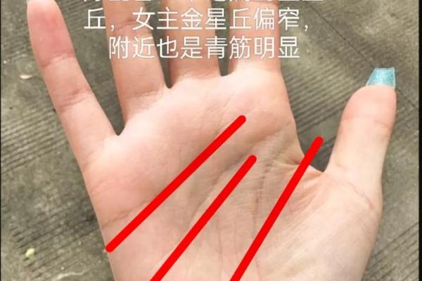 手相分析：是看左手还是右手更准确？