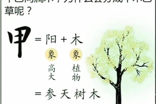 天干喜忌解析：如何根据五行属性选择合适的天干组合