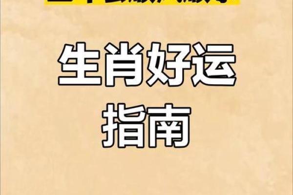 生肖命理解析：如何根据出生年份掌握人生运势