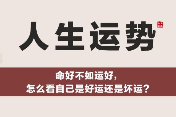 提升运势的关键：C命理中的命运与运程分析