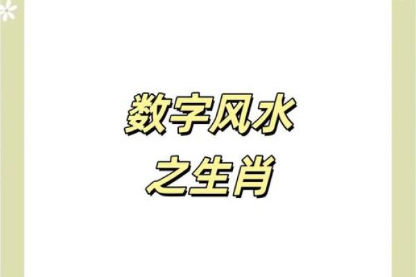 数字与命运的神秘关联：数字命理学的深度探索