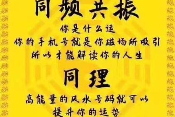 数字与命运的神秘关联：数字命理学的深度探索