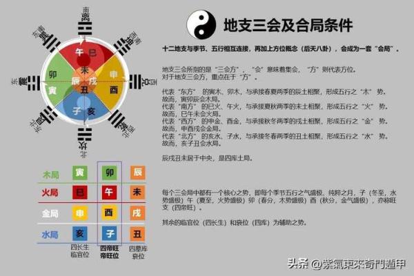 未地支在命理中的独特作用与解析