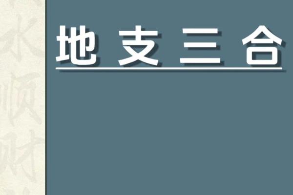 探讨地支三合火局对命理的影响