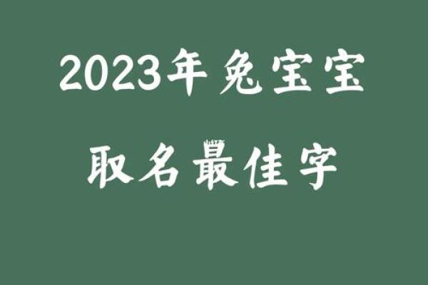 夜色生猪宝宝女孩取名佳选