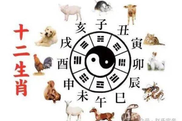 神秘地支：揭秘十二生肖背后的神秘力量与命运规律