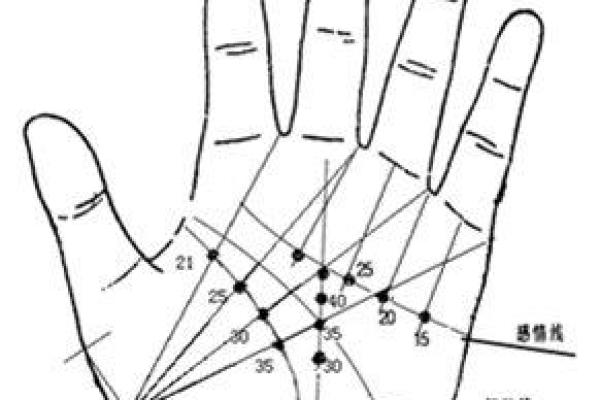 掌中运势揭秘：手相外线读人生