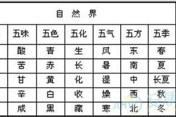 高五行属性解析