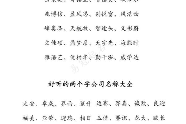 如何为公司起个简洁有力的二字名字