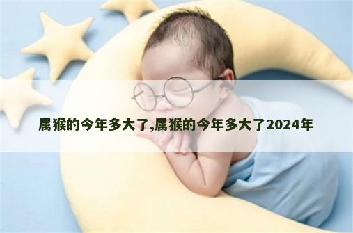 属猴的今年多大了,属猴的今年多大了2024年