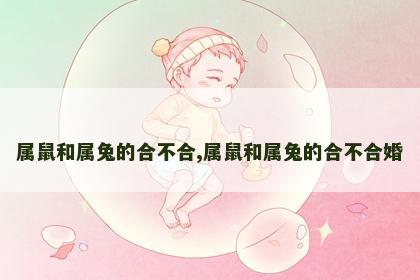 属鼠和属兔的合不合,属鼠和属兔的合不合婚