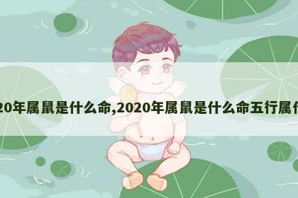 2020年属鼠是什么命,2020年属鼠是什么命五行属什么