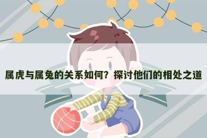 属虎与属兔的关系如何？探讨他们的相处之道