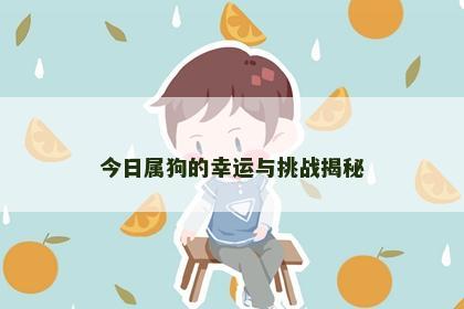 今日属狗的幸运与挑战揭秘