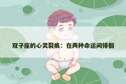 双子座的心灵裂痕：在两种命运间徘徊