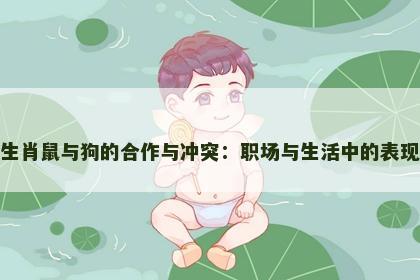 生肖鼠与狗的合作与冲突：职场与生活中的表现