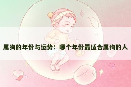 属狗的年份与运势：哪个年份最适合属狗的人