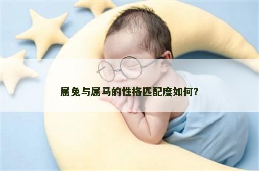 属兔与属马的性格匹配度如何？