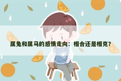 属兔和属马的感情走向：相合还是相克？