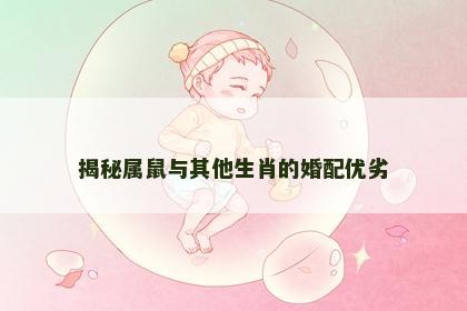 揭秘属鼠与其他生肖的婚配优劣