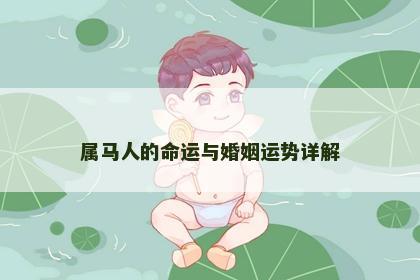 属马人的命运与婚姻运势详解