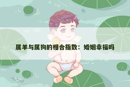 属羊与属狗的相合指数：婚姻幸福吗