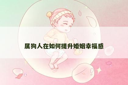 属狗人在如何提升婚姻幸福感