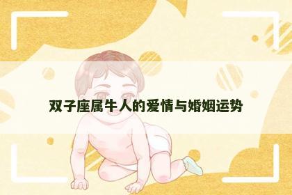 双子座属牛人的爱情与婚姻运势