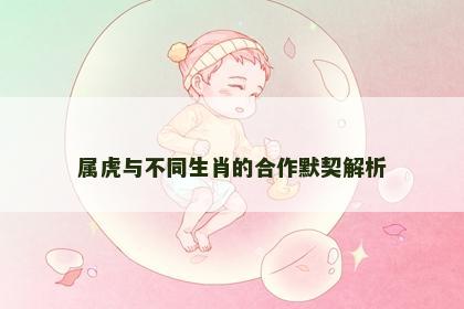 属虎与不同生肖的合作默契解析