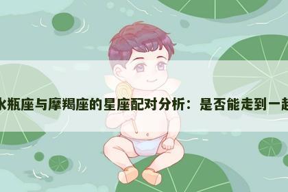 水瓶座与摩羯座的星座配对分析：是否能走到一起