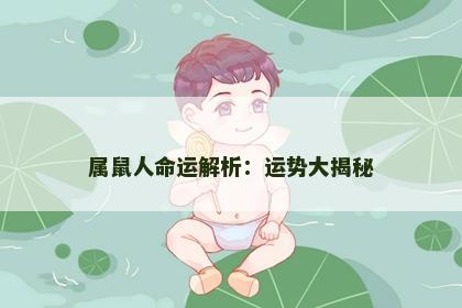 属鼠人命运解析：运势大揭秘