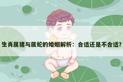 生肖属猪与属蛇的婚姻解析：合适还是不合适？