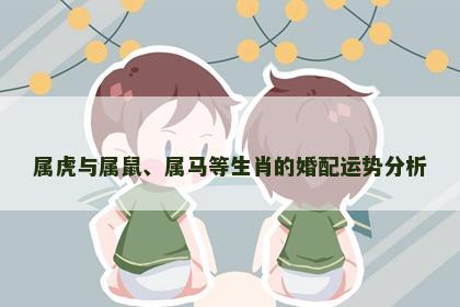 属虎与属鼠、属马等生肖的婚配运势分析