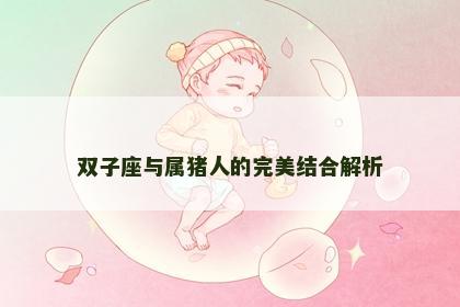 双子座与属猪人的完美结合解析